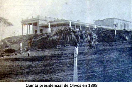 quinta de olivos